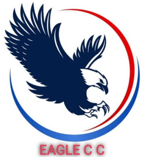 eagle eagle